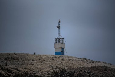 Deniz feneri beyaz kayalarda izole edilmiş ve muhtemelen Peru 'daki kayalıklarda izole edilmiş.