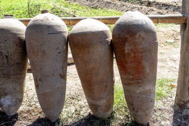 Peru 'da Ica yakınlarında Pisco şarabı taşımak için terracotta şarapları.