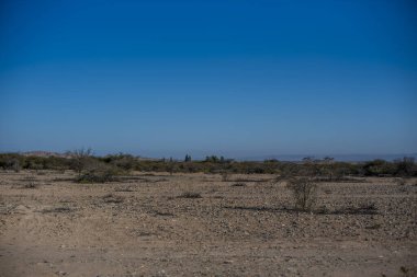 Nazca yakınlarındaki kayalık dağlarda mavi gökyüzü ve kahverengi çöl çöl bitkileri ve Nazca Peru 'da az su