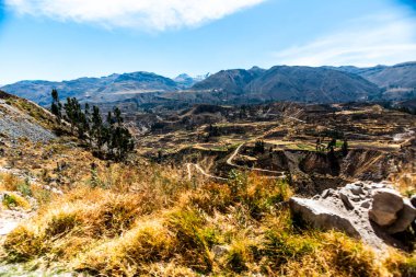 And Dağları 'nın ve Peru' nun dağlık arazisi Colca Kanyonu yakınlarındaki Arequipa bölgesinde yaz güneşi tarafından ağaçlar ve bitki örtüsüyle aydınlatılan vadiler ve uçurumlarla aydınlanır.