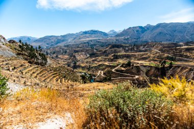 And Dağları 'nın ve Peru' nun dağlık arazisi Colca Kanyonu yakınlarındaki Arequipa bölgesinde yaz güneşi tarafından ağaçlar ve bitki örtüsüyle aydınlatılan vadiler ve uçurumlarla aydınlanır.