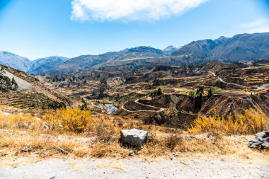 And Dağları 'nın ve Peru' nun dağlık arazisi Colca Kanyonu yakınlarındaki Arequipa bölgesinde yaz güneşi tarafından ağaçlar ve bitki örtüsüyle aydınlatılan vadiler ve uçurumlarla aydınlanır.