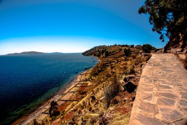 Taquile adasından Titicaca Gölü manzarası ve Peru 'daki Puno yakınlarındaki Uros popülasyonunun yetiştirdiği çayır ve sebze bahçeleri.