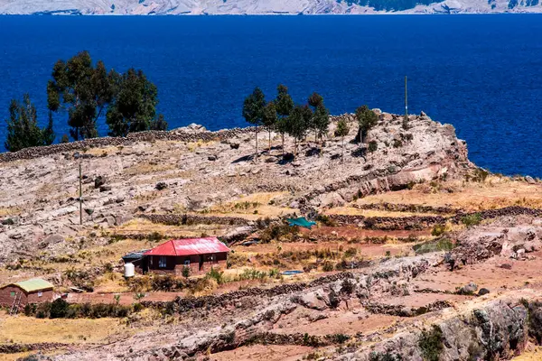 Taquile adasından Titicaca Gölü manzarası ve Peru 'daki Puno yakınlarındaki Uros popülasyonunun yetiştirdiği çayır ve sebze bahçeleri.