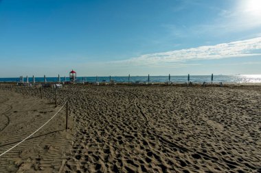 Yeşil deniz ve kış enkazlarıyla sonbahar kumsalı Venedik, İtalya 'daki Lido' nun duvarlarının yakınındaki ıslak kumda terk edildi.
