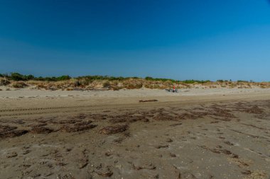 Venedik 'in Lido' sunda sonbahar kumsalı. Ağaçların enkazı ve terk edilmiş kumullarla dolu.