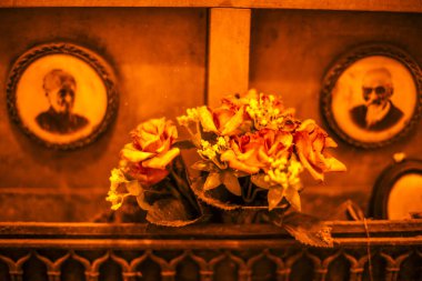 Yumuşak sarı ve turuncu ışıklarla solmuş çiçekleri kapatın.