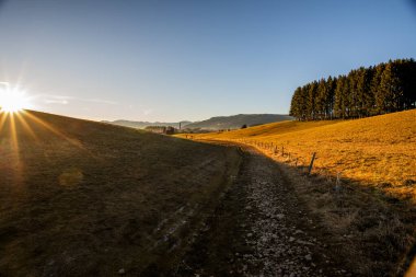 Asıgo Vicenza Veneto İtalya 'nın yeşil otlaklarını işaret eden rotayı belirleyen taşlarla ve dikenli tellerle dolu kurak dağ yolu.