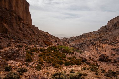 Fas 'ta Marakeş' te Ouarzazate yakınlarındaki Jebel Saghro 'daki Berber toprakları arasında çöl vadileri olan Fas Atlası' nın dağ zirveleri ile Fas Atlası 'nın çöl vadileri arasındaki kayalık patika. 