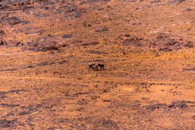 Fas 'ta Marakeş' te Ouarzazate yakınlarındaki Jebel Saghro 'daki Berber toprakları arasında çöl vadileri olan Fas Atlası' nın dağ zirveleri ile Fas Atlası 'nın çöl vadileri arasındaki kayalık patika. 