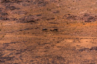 Fas 'ta Marakeş' te Ouarzazate yakınlarındaki Jebel Saghro 'daki Berber toprakları arasında çöl vadileri olan Fas Atlası' nın dağ zirveleri ile Fas Atlası 'nın çöl vadileri arasındaki kayalık patika. 