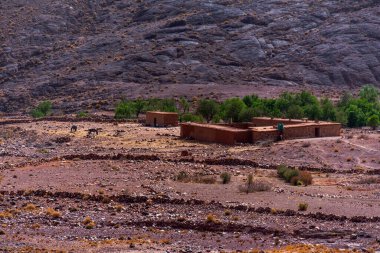 Fas 'ta Marakeş yakınlarındaki Atlas' ta Jebel Saghro çevresinde çamurdan ve samandan evler inşa edilmiş Berberi vahası.