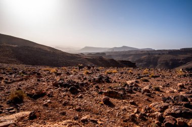 Berber katırları, Marakeş yakınlarındaki Fas 'taki Bab N Ali ve Jebel Saghro ve Fas' taki Ouarzazate yakınlarındaki raylardan Atlas Berber katır kervanını geçiyor.