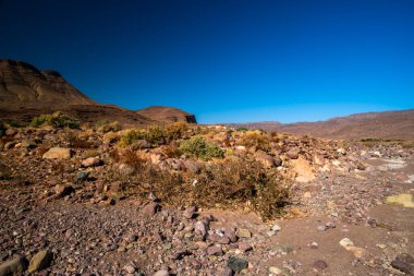 Fas 'ın güneyindeki Ouarzazate yakınlarındaki Fas Atlası' nda Handour nehrinin vadilerindeki panorama