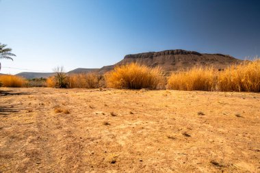 Handour Nehri 'nin kurak nehir yatağı dağlar arasında Fas' ın Ouarzazate yakınlarındaki Berber köyleri arasındaki Handour vadisinde Fas Atlası 'nın çölleşmesiyle kavrulmuş.