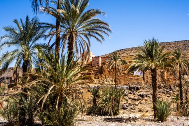 Fas 'ın Ouarzazate yakınlarındaki Handour vadisinde Fas Atlası' nın dağlarındaki nehir yatağının kurak kayaları arasında palmiye ağaçları.