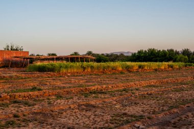 Ouarzazate Fas yakınlarındaki Fas Atlası 'ndaki Handour Vadisi' nde kırsal bir köyün yakınındaki palmiye ve badem ağaçları olan vaha.