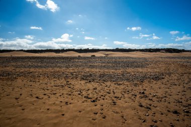 Fas sahillerinde ölen sörfçülerin ve dalgaların olduğu güzel Essaouira plajı.