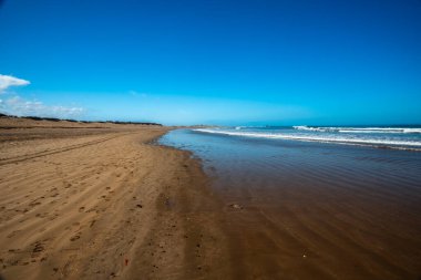 Fas sahillerinde ölen sörfçülerin ve dalgaların olduğu güzel Essaouira plajı.
