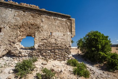 Essaouira, Fas 'ta, kumsalların ıssız kumulları arasında mavi gökyüzü ve yeşil ağaçların kalıntıları.