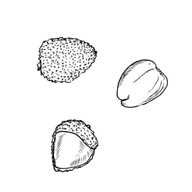 Lycees soyutlanmış, çizilmiş, çizilmiş