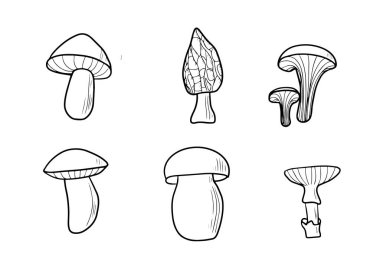 Yalıtılmış çizgi mantarları, karalama stili, el çizimi
