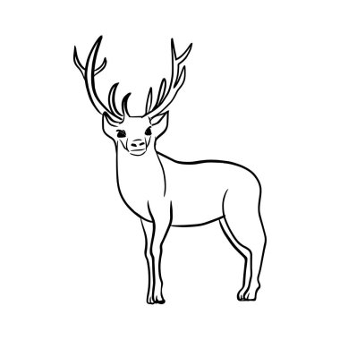 Geyik çizgisi izole, taslak, siyah beyaz çizimler
