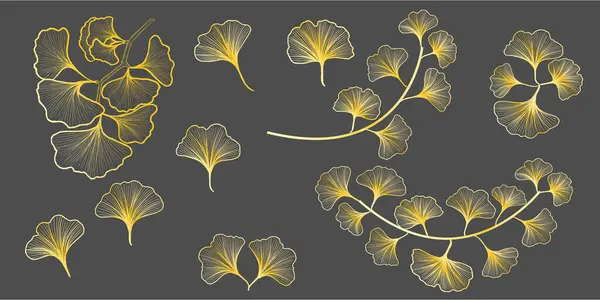 Gingko yaprakları izole, çizgi sanatı, tasarım elementi, altın rengi.