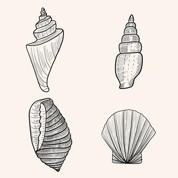 Çizgi sanatı deniz kabukları, çizim tarzı, el çizimi.