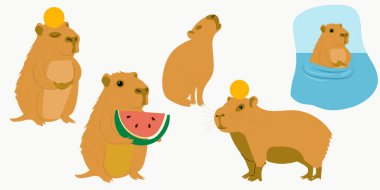Capybaras 'ın rahatlatıcı kaplıcalardaki sevimli temsili. Capybara 'nın gözleri kapalı, kafasında portakal var ve sıcaklığın tadını çıkarıyor. Capybara huzur içinde oturur ve bir portakalı dengede tutar.