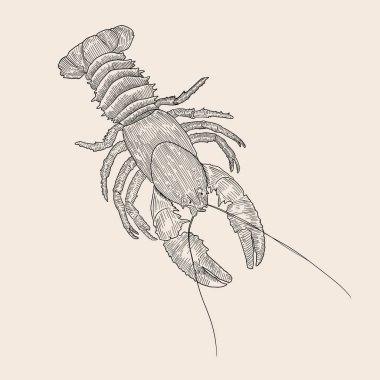 Kanserli hayvan kuluçkaya yatma sanatı, oyma.