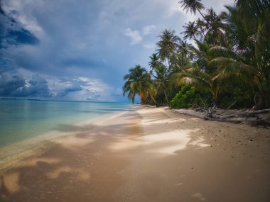 Serene Shoreline ve Sikandang Adası plajı, Sumatra. Sumatra 'daki Sikandang Adası' nın el değmemiş güzel plajları, el değmemiş kumlu plajların berrak sularla buluştuğu, parlak mavi gökyüzünün altındaki gür palmiye ağaçları tarafından çerçevelendiği yer..
