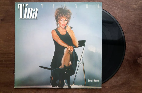stock image Lublin, Poland. 18 January 2023. Tina Turner 