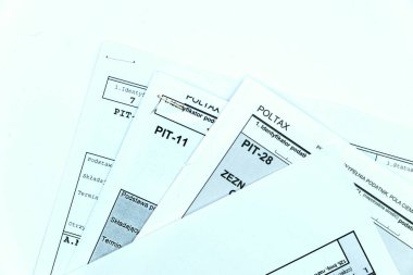 Polonya 'nın yıl sonu vergisi (PIT) iade formları
