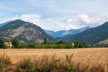 Fransa 'daki Vercors dağlarındaki sarı tarlalar