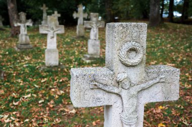 Polonya 'nın Roztocze kentindeki unutulmuş bir mezarlıkta eski beyaz haçlar ve mezar taşları