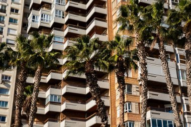 Malaga, Costa del Sol, İspanya, 29 Aralık 2024, Akdeniz manzaralı kule bloğu ve açık mavi gökyüzüne karşı palmiye ağaçları