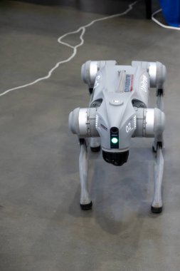 Lublin, Polonya, 20 Mart 2024 GO2 eğitim sektörü akıllı robot köpek eğitim fuarında sergileniyor