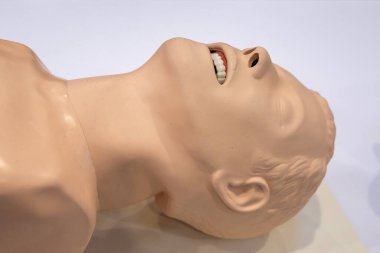 Suni teneffüs mankeni olarak da bilinen bir ilk yardım eğitim mankeni. Eğitim dersinde kullanılmaya hazır.