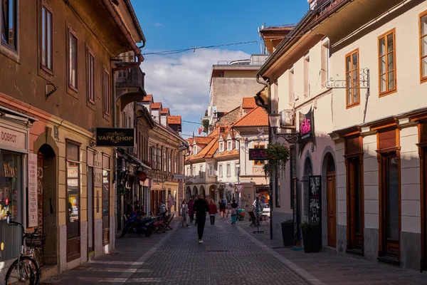 Ljubljana, Slovenya 'da Geleneksel Renkli Evleri olan Küçük Yaya Sokağı