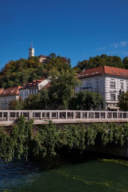 Ljubljanica Nehri kenarındaki Renkli Geleneksel Evler ve Tepedeki Kale - Ljubljana, Slovenya