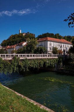 Ljubljanica Nehri kenarındaki Renkli Geleneksel Evler ve Tepedeki Kale - Ljubljana, Slovenya