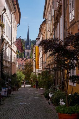 Slovenya 'nın Eski Ljubljana kasabasındaki Güzel Binalar