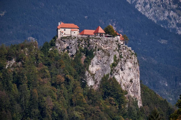 Замок Вершине Горы Озере Блед Словении Открытка Европа Фенербахче — стоковое фото