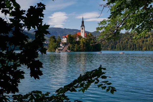 Assumption Maria Church Island Lake Bled Slovenia Postcard Europe Famous — Stock Photo, Image