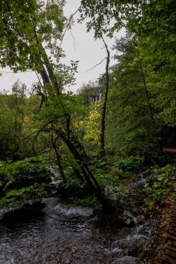 Plitvice Gölleri Milli Parkı - Hırvatistan