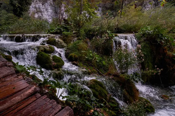 美しいエメラルドウォーターとプラティス湖国立公園の滝 クロアチア — ストック写真