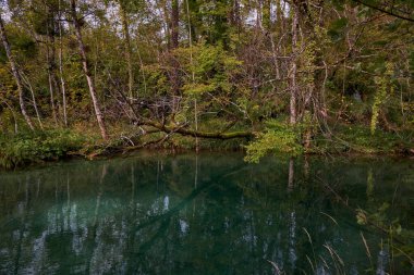 Plitvice Gölleri Ulusal Parkı 'ndaki Güzel Zümrüt Suları - Hırvatistan