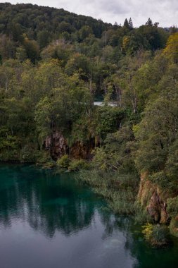 Plitvice Gölleri Ulusal Parkı 'ndaki Güzel Zümrüt Suları - Hırvatistan