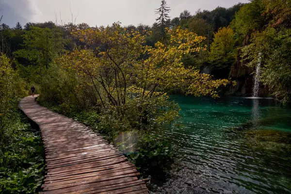 Faút Plitvicei Tavak Nemzeti Parkban Horvátország — Stock Fotó